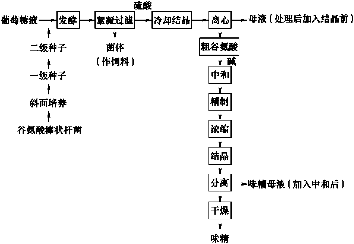 四、淀粉用于制造發(fā)酵及衍生產(chǎn)品